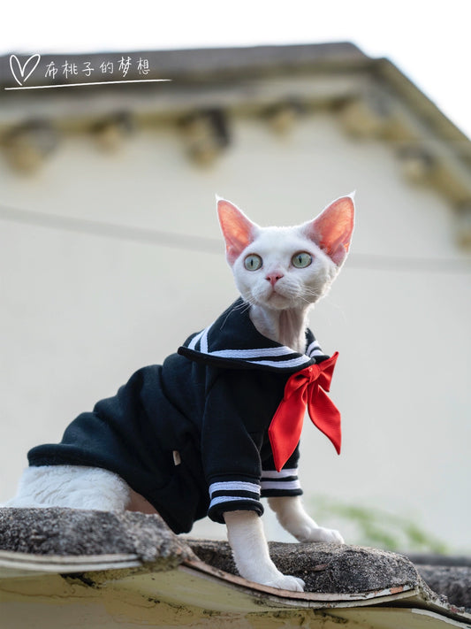 Gingerain Sailor Moon Beautiful Girl's Hairless Cat